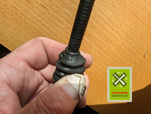 PXL_20240507_152304770